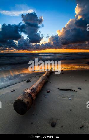 Gros plan d'une bûche échouée sur une plage au coucher du soleil, mer Baltique, Lituanie Banque D'Images