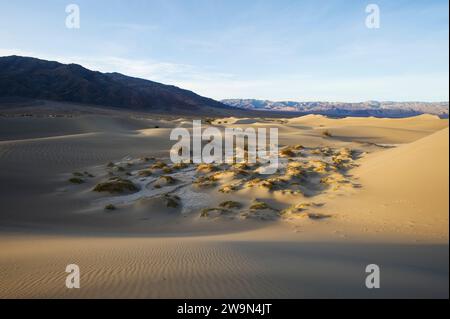 Vue sur les dunes de sable de Mesquite Flat dans le parc national de Death Valley, en Californie. Banque D'Images