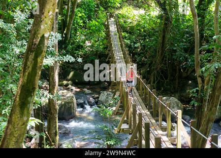 Un randonneur traverse un pont suspendu sur le segment 11 du Waitukubuli National Trail sur l'île caribéenne de la Dominique. Banque D'Images