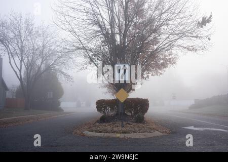 Panneaux de rue de quartier sur une médiane entourée de brouillard à l'automne Banque D'Images