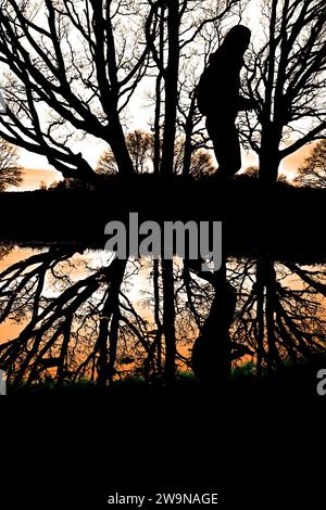 Une femme en silhouette se reflète dans une piscine d'eau par des arbres dans la campagne dans la soirée à Londres Royaume-Uni Banque D'Images