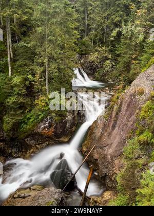 Un spectacle envoûtant se déroule alors que le temps s'arrête, capturant la danse gracieuse d'une cascade forestière dans une longue exposition étonnante. Poésie de la nature Banque D'Images