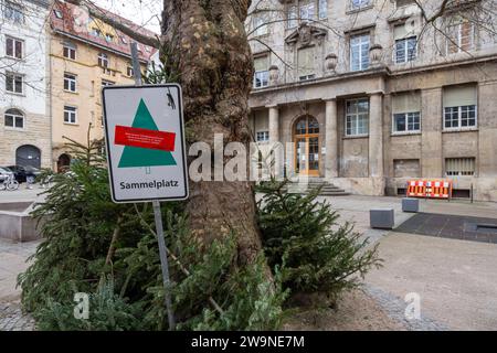 Sammelstelle für ausgediente Weihnachtsbäume. // 29.12.2023 : Stuttgart, Baden-Württemberg, Deutschland, Europa *** point de collecte des arbres de Noël jetés 29 12 2023 Stuttgart, Baden Württemberg, Allemagne, Europe Banque D'Images