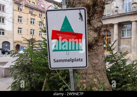 Sammelstelle für ausgediente Weihnachtsbäume. // 29.12.2023 : Stuttgart, Baden-Württemberg, Deutschland, Europa *** point de collecte des arbres de Noël jetés 29 12 2023 Stuttgart, Baden Württemberg, Allemagne, Europe Banque D'Images