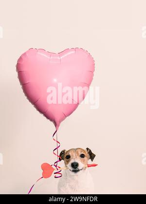 Chien tenant la flèche de Cupidon et ballon en forme de coeur sur fond rose. Carte d'amour romantique pour la Saint-Valentin Banque D'Images