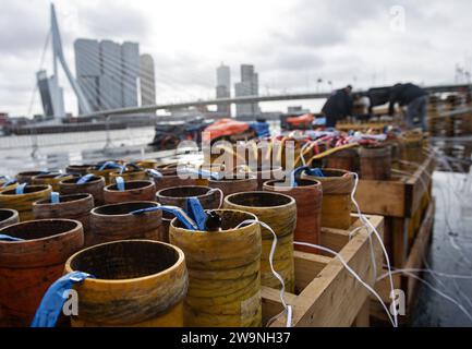 ROTTERDAM - préparatifs pour les feux d'artifice nationaux sur un ponton dans la Meuse. Il y a une interdiction de feux d'artifice à Rotterdam, les amateurs peuvent voir un spectacle de feux d'artifice organisé au pont Erasmus pendant la Saint-Sylvestre. ANP MARTEN VAN DIJL netherlands Out - belgique Out Banque D'Images