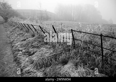 Un matin d'hiver brumeux le long du sentier public Arden Way dans le Warwickshire. Banque D'Images