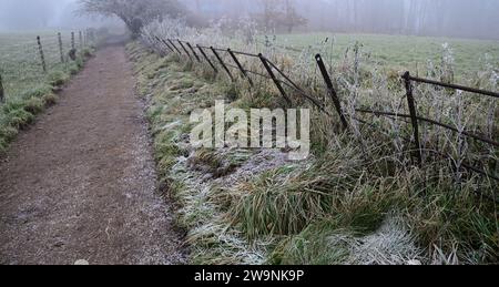 Un matin d'hiver brumeux le long du sentier public Arden Way dans le Warwickshire. Banque D'Images