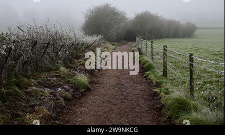 Un matin d'hiver brumeux le long du sentier public Arden Way dans le Warwickshire. Banque D'Images