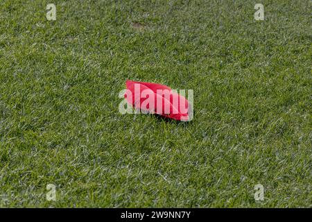 Coussin doux en forme de lèvre rouge couché sur l'herbe dans un parc public, cadeau idéal pour la Saint-Valentin. Banque D'Images