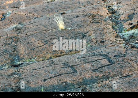 Petroglyph, Puako Petroglyph Archaeological Park, Mauna Lani, Hawaii Banque D'Images