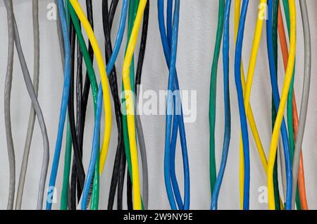 Câbles électriques colorés accrochés à un mur verticalement. Câbles à paires torsadées CAT5 pour réseaux informatiques. Banque D'Images