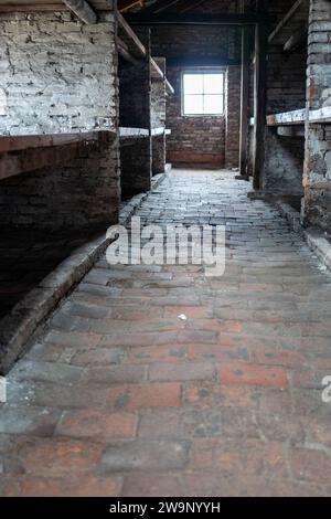 Hébergement pour les internés, y compris des aires de couchage et des toilettes dans les camps de concentration d'Auschwitz et de Birkenau, Pologne Banque D'Images