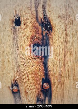 La texture du bois. Grand fond de bois patiné de bandes avec des clous rouillés. Forte et très détaillée. Banque D'Images