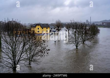 Inondation sur la Ruhr, ici près de Hattingen, bâtiments dans un camping inondé, complètement entouré par les eaux de crue, après des jours de pluie continue, NRW, germe Banque D'Images