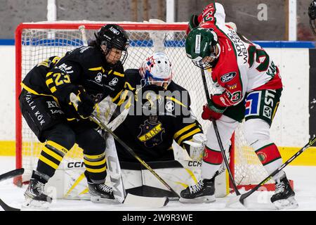 Stockholm, Suède. 29 décembre 2023. AIKS 23 Fumika SASANO, gardien de but 30 Blanka Skodova, Frolundas 33 Michelle Karvinen lors du match en SDHL entre AIK et Frolunda HC sur Ulriksdala IP à Stockholm. (Image de crédit : © Johan Dali/ZUMA Press Wire) USAGE ÉDITORIAL SEULEMENT! Non destiné à UN USAGE commercial ! Banque D'Images