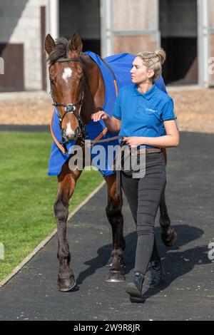 Reserve Tank monté par Brendan Powell pour Joe Tizzard à Wincanton le 21 mars 2022 Banque D'Images