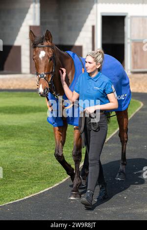 Reserve Tank monté par Brendan Powell pour Joe Tizzard à Wincanton le 21 mars 2022 Banque D'Images