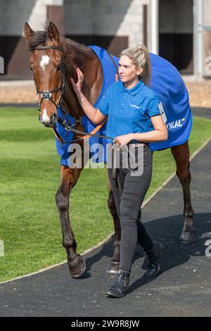 Reserve Tank monté par Brendan Powell pour Joe Tizzard à Wincanton le 21 mars 2022 Banque D'Images