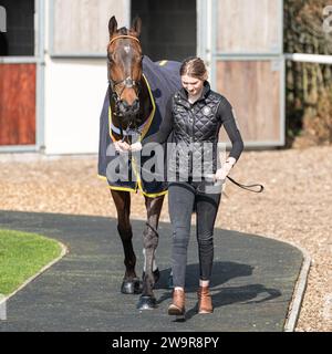 Ballyblack étant conduit autour du terrain de pré-parade par le marié à Wincanton, avant la course de haies, le 21 mars 2022 Banque D'Images