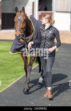 Ballyblack étant conduit autour du terrain de pré-parade par le marié à Wincanton, avant la course de haies, le 21 mars 2022 Banque D'Images