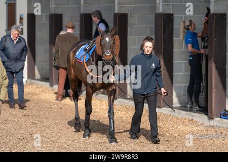 Oiseaux de proie courant à Wincanton, le 21 mars 2022 Banque D'Images