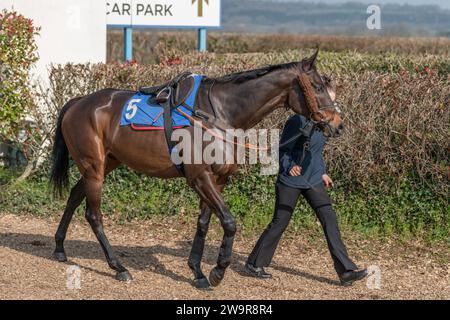 Photos du cheval de course 'Birds of Prey', monté par Harry Cobden, entraîné par Paul Nicholls, à l'hippodrome de Wincanton, le 21 mars 2022 Banque D'Images