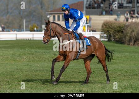 Reserve Tank monté par Brendan Powell pour Joe Tizzard à Wincanton le 21 mars 2022 Banque D'Images