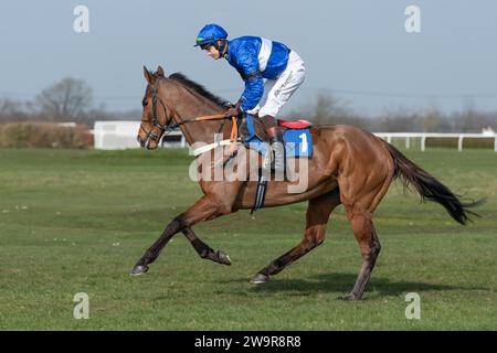 Reserve Tank monté par Brendan Powell pour Joe Tizzard à Wincanton le 21 mars 2022 Banque D'Images