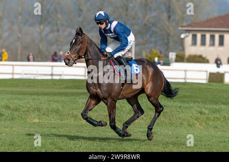 Photos du cheval de course 'Birds of Prey', monté par Harry Cobden, entraîné par Paul Nicholls, à l'hippodrome de Wincanton, le 21 mars 2022 Banque D'Images