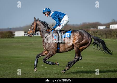 Photos du cheval de course 'Birds of Prey', monté par Harry Cobden, entraîné par Paul Nicholls, à l'hippodrome de Wincanton, le 21 mars 2022 Banque D'Images