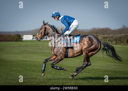 Photos du cheval de course 'Birds of Prey', monté par Harry Cobden, entraîné par Paul Nicholls, à l'hippodrome de Wincanton, le 21 mars 2022 Banque D'Images