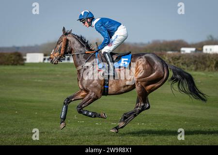 Photos du cheval de course 'Birds of Prey', monté par Harry Cobden, entraîné par Paul Nicholls, à l'hippodrome de Wincanton, le 21 mars 2022 Banque D'Images