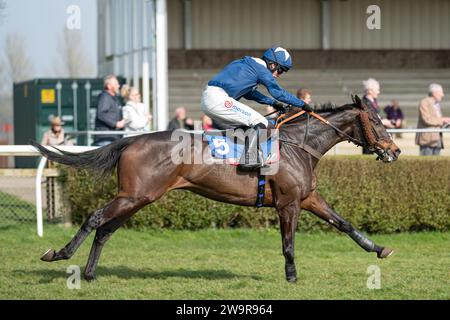 Photos du cheval de course 'Birds of Prey', monté par Harry Cobden, entraîné par Paul Nicholls, à l'hippodrome de Wincanton, le 21 mars 2022 Banque D'Images