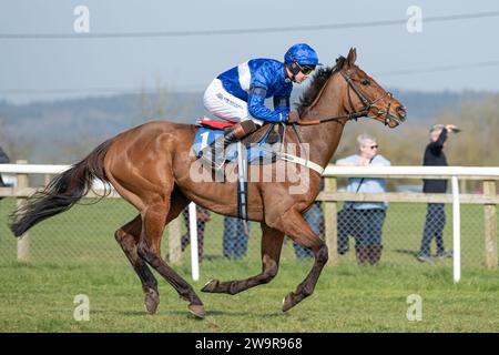 Reserve Tank monté par Brendan Powell pour Joe Tizzard à Wincanton le 21 mars 2022 Banque D'Images