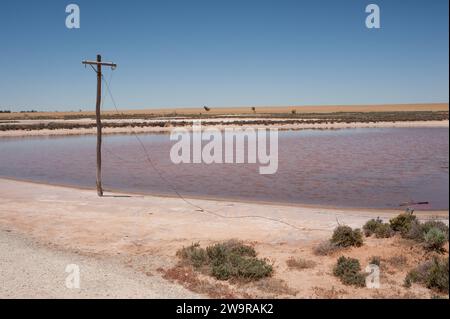 Le lac Tyrrell est une dépression peu profonde et en croûte salée située dans le district de Mallee, au nord-ouest du Victoria, en Australie. Situé à sept kilomètres au nord de Sea Banque D'Images