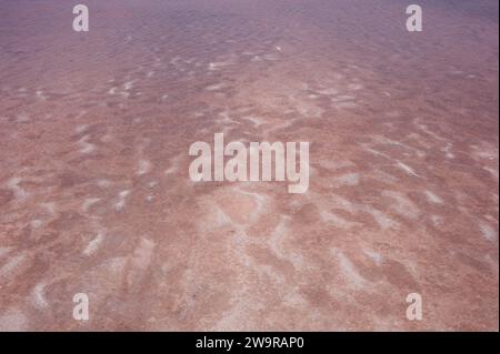 Le lac Tyrrell est une dépression peu profonde et en croûte salée située dans le district de Mallee, au nord-ouest du Victoria, en Australie. Situé à sept kilomètres au nord de Sea Banque D'Images