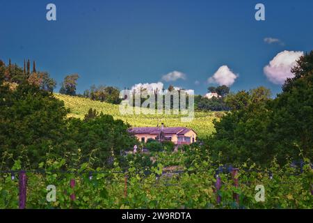 Toscane vignoble vignoble domaine typique en Italie, Europe. Banque D'Images