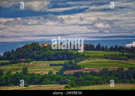 Toscane vignoble vignoble domaine typique en Italie, Europe. Banque D'Images