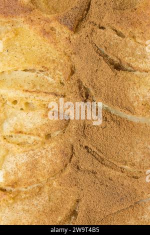 Gros plan vertical au-dessus d'une tarte aux pommes fraîche, divisée en deux moitiés. Une moitié est saupoudrée de cannelle aromatique, l'autre reste pure et inadorne Banque D'Images