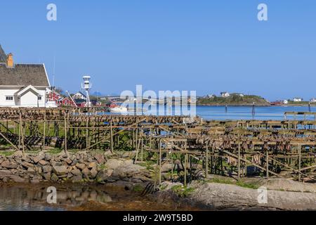 Un ciel dégagé orne les séchoirs traditionnels à morue à Reine, Moskenesoy, îles Lofoten, où les poissons sèchent au soleil et au vent pour devenir des stockfish Banque D'Images