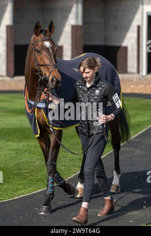 Le russe Doyen, monté par Nick Scholfield et entraîné par Jeremy Scott, est finaliste de la course en steeple handicap Class 3 à Wincanton, le 21 mars Banque D'Images