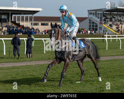 Glajou, entraîné par Paul Nicholls et monté par Harry Cobden, se classe troisième de la course-poursuite handicap de classe 3 à Wincanton, le 21 mars 2022 Banque D'Images