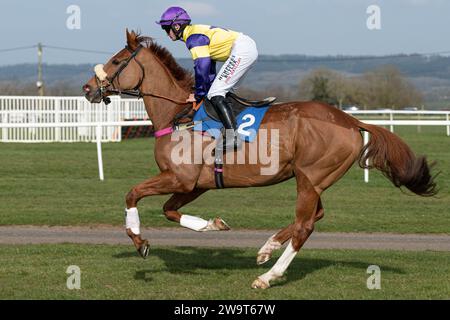 Financier, monté par Richard Patrick et entraîné par Kerry Lee, en course dans le handicap Steeple Chase à Wincanton, le 21 mars 2022 Banque D'Images