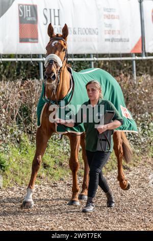 Le Big Red One, monté par Daniel Sansom et entraîné par Seamus Mullins, en course à Wincanton, le 21 mars 2022 Banque D'Images