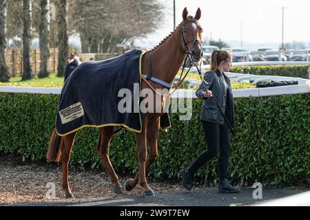 Phoenix Risen, entraîné par Jeremy Scott et monté par Rex Dingle, court dans la haie handicap à Wincanton, le 21 mars 2022 Banque D'Images