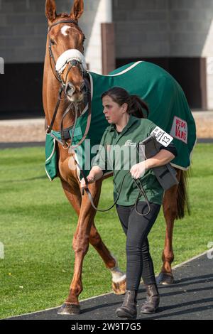 Le Big Red One, monté par Daniel Sansom et entraîné par Seamus Mullins, en course à Wincanton, le 21 mars 2022 Banque D'Images