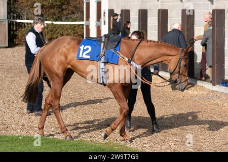 Phoenix Risen, entraîné par Jeremy Scott et monté par Rex Dingle, court dans la haie handicap à Wincanton, le 21 mars 2022 Banque D'Images