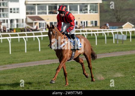 Phoenix Risen, entraîné par Jeremy Scott et monté par Rex Dingle, court dans la haie handicap à Wincanton, le 21 mars 2022 Banque D'Images