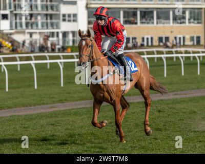 Phoenix Risen, entraîné par Jeremy Scott et monté par Rex Dingle, court dans la haie handicap à Wincanton, le 21 mars 2022 Banque D'Images